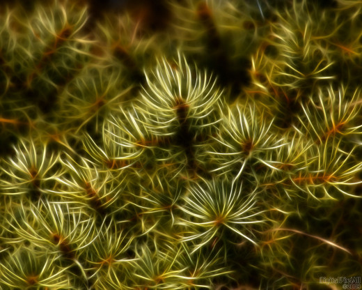 18857 (a): :1280x1024